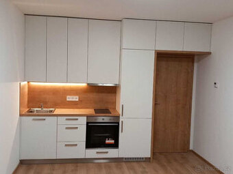 Pronájem bytu 1+kk, Frištenského, Neředín, 13000Kč/měs, 32 m
