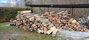 koupím palivové dřevo - bukové štípy