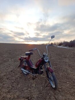 Babetta 210