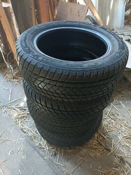 Zimní pneumatiky GT Radial WinterPro2evo