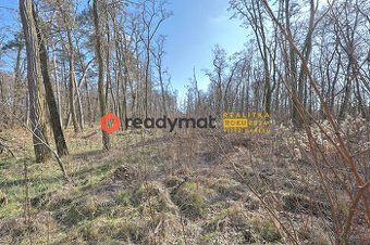 Prodej lesa, Dubňany, 5 323 m2 - 1