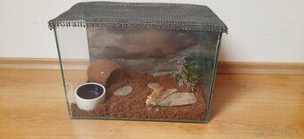 Terárium