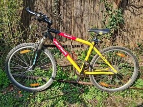 Kolo AUTHOR Basic SX