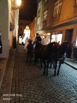 Prodám 4 chovné kladrubské klisny