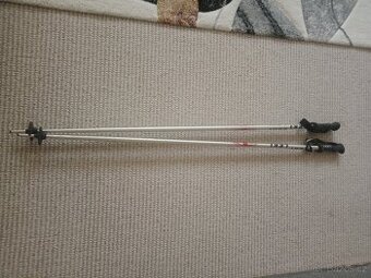 Sjezdové hůlky Leki 125