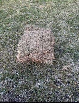 Balíky lučního sena - 1