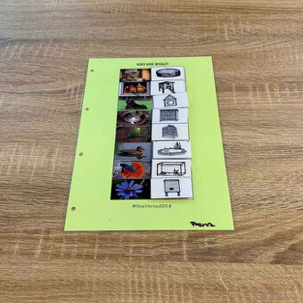 Kdo kde bydlí? Logická aktivita pro předškoláky + 🎁 Dárek