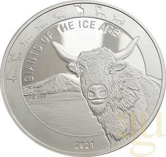 Stříbrné investiční mince 1oz