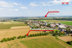 Prodej pozemku k bydlení, 4852 m², Brumovice - 1
