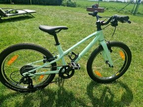SPECIALIZED JETT 20 GLOSS OASIS / FOREST GREEN