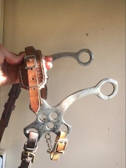 Hackamore