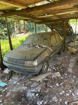 Peugeot 309, 2.0 Diesel