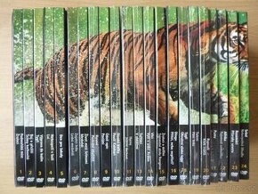 PREDATORI ZBLIZKA (22x dvd) CZ DABING