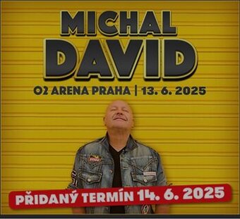 Michal David