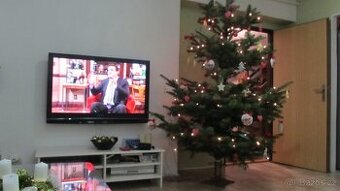 Panasonic Viera Plazma TH-42PX8EA