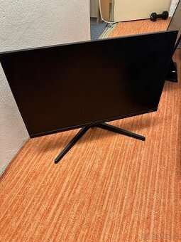 Monitory