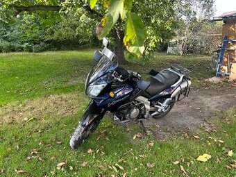 Suzuki V-Strom DL 1000