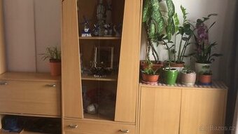 Prodám nástěnnou skříňku v dobrém stavu.