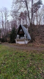 Chata na prodej Plasy - u řeky