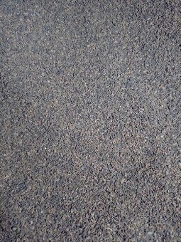 Svazenka vratičolistá