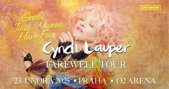 Obrázek k inzerátu: Cyndi Lauper 23.2. O2 aréna 2 vstupenky k prodeji