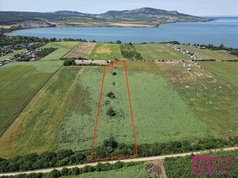 Prodej zemědělská půda, 17 804 m2 - Přítluky - Nové Mlýny