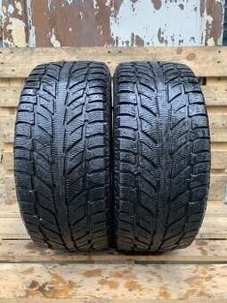 2ks 245/45/18 Cooper/2015/100H/zimní 7.4m