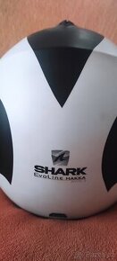 Shark
