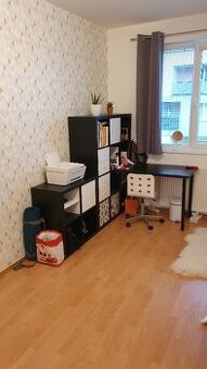 Studentský psací stůl s knihovnou IKEA Kallax / Linnmonn