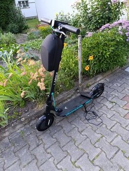 Lamax 11600