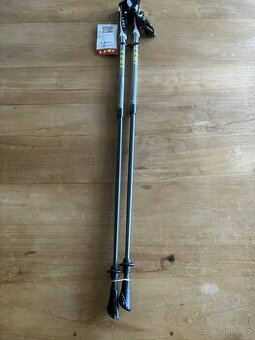 hole Nordic Walking