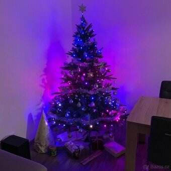 Vánoční stromek Hallerts 180 cm