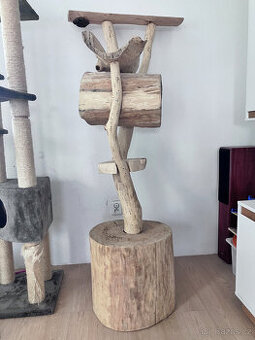 Dřevěný kočičí strom z masivu