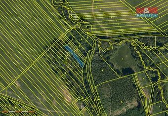 Prodej lesa, 1288 m², Loukov - 1