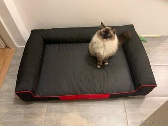 Velký pelíšek pro psa