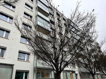 Prodáme byt 2+1, balkon, byt i dům po celkové rekonstrukci