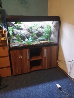 Terárium dělané z akvária 100x50x50