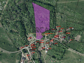 Prodej lesního pozemku v k.ú. Skalice u Lovosico výměře 1594 - 1