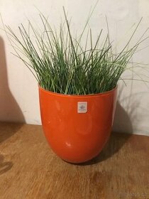 Oranzova vaza s travou