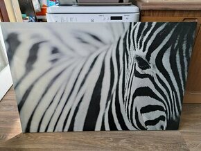 Obraz Ikea Zebra