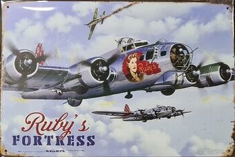 Kovová cedule 30x20 BOMBER