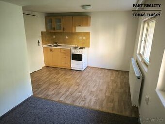 Pronájem bytu 1+kk, 19m2, Teplická, Děčín