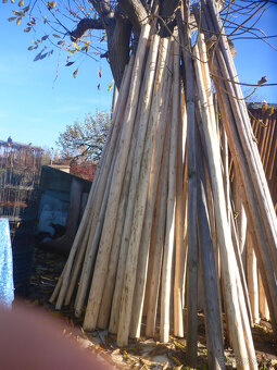 Smrková loupaná bidla