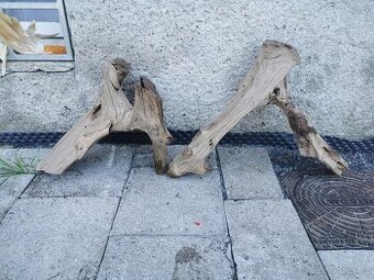 Dřevo do akvaria / terária