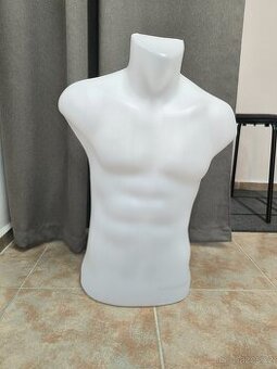 Pánské torzo/figurína 6 ks
