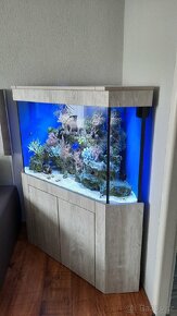 Morske akvarium