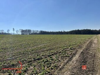 Prodej, pozemky/pole, 44570 m2, Němčovice , Rokycany [ID 693