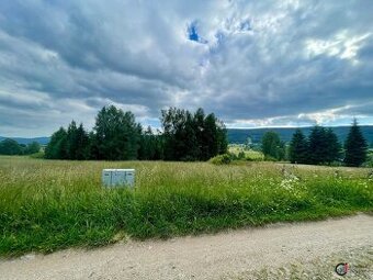 Prodej pozemku pro bydlení, 3 001 m2 - Orlické Záhoří