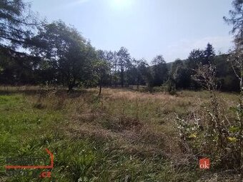 Prodej, pozemky/zahrada, 2433 m2, Orasín 35, 43121 Boleboř,