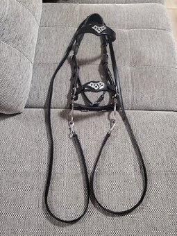 Hackamore - 1